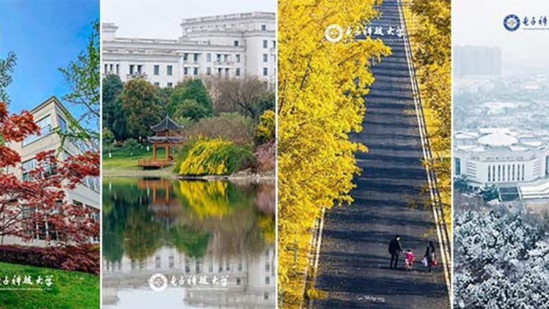 PCB电路板定制，价格背后的考量因素